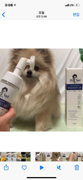 로루남매님이 올린 리뷰 사진 3