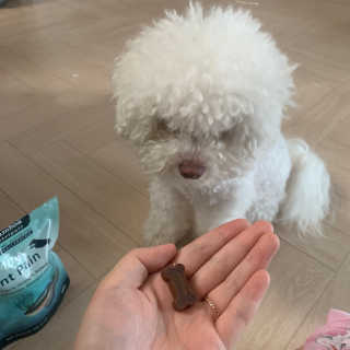찐멍멍이님이 올린 리뷰 사진 1