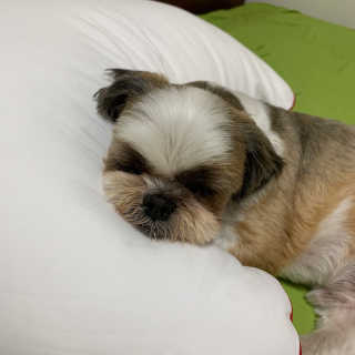 persona님이 올린 리뷰 사진 1