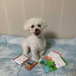 설량님이 올린 리뷰 사진 1