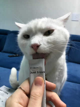 IS2UL님이 올린 리뷰 사진 2