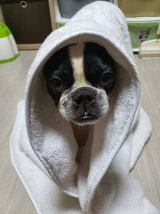 삼꽃단하나님이 올린 리뷰 사진 4