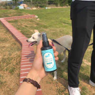 코지독 카밍스프레이 100ml — 4점을 준 리뷰어가 2020년 6월 올린 사용 사진
