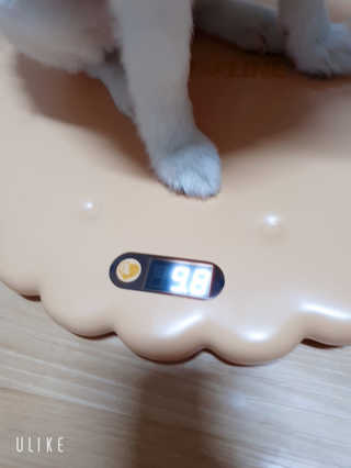 블리블리♡은블리♡님이 올린 리뷰 사진 4