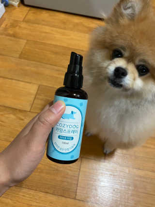 파이누이님이 올린 리뷰 사진 1