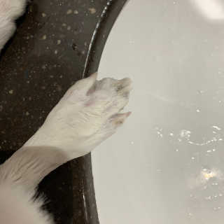sunny님이 올린 리뷰 사진 3