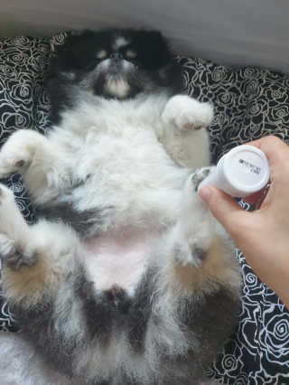 몽실맘님이 올린 리뷰 사진 1