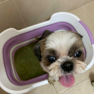 persona님이 올린 리뷰 사진 2