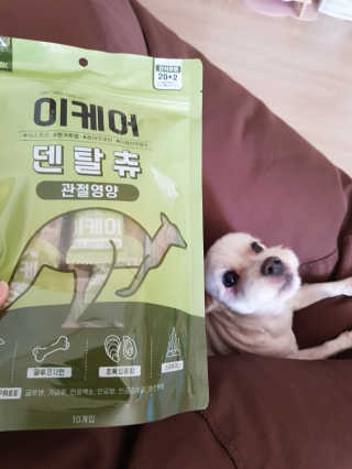 곽현정님이 올린 리뷰 사진 2