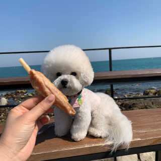 아시안님이 올린 리뷰 사진 1