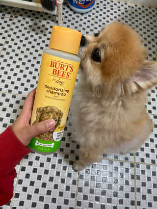 파이누이님이 올린 리뷰 사진 3