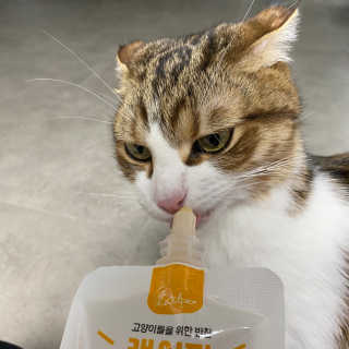 러브굿님이 올린 리뷰 사진 4