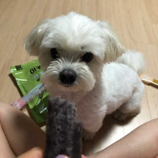 커피좋아님이 올린 리뷰 사진 3