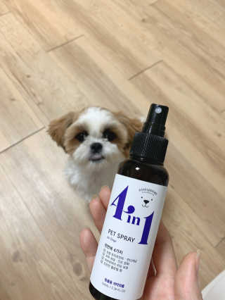 강아지스토리 포인원 모이스처 미스트 100ml — 5점을 준 리뷰어가 2020년 6월 올린 사용 사진