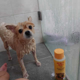 연떠님이 올린 리뷰 사진 2
