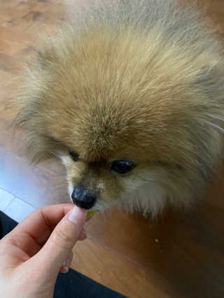 박유정님이 올린 리뷰 사진 4