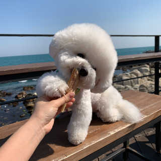 아시안님이 올린 리뷰 사진 3
