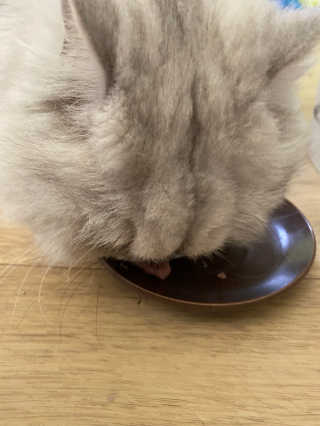 럽S하3님이 올린 리뷰 사진 4