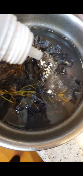 친환경 과일세정제 그린그램 칼슘파우더 1통 150g — 5점을 준 리뷰어가 2020년 6월 올린 사용 사진