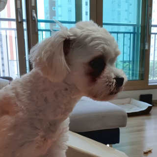 지니이쁘닝님이 올린 리뷰 사진 2