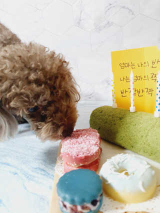 달콤오기님이 올린 리뷰 사진 3