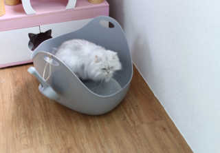 sunny님이 올린 리뷰 사진 3