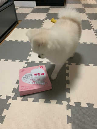 My Pet Care 천연단백질 관절건강에 개좋아 — 5점을 준 리뷰어가 2020년 12월 올린 사용 사진