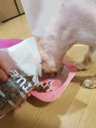 다솜다빈이아빠님이 올린 리뷰 사진 4