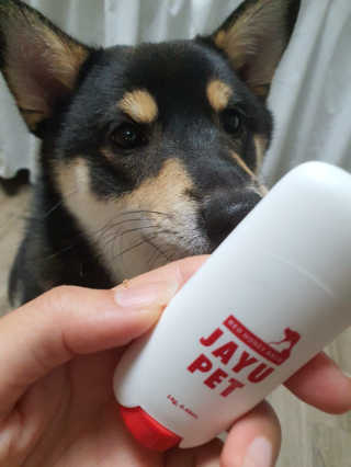 [레드허니밤]자유펫 고양이 강아지 발바닥 밤 14g — 5점을 준 리뷰어가 2020년 7월 올린 사용 사진