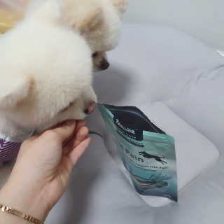 현이님이 올린 리뷰 사진 3