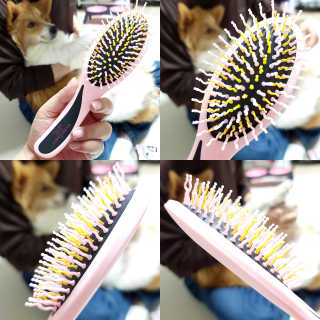아이캔디 레인보우 볼륨S  브러쉬 for PET 미디엄 — 4.5점을 준 리뷰어가 2020년 11월 올린 사용 사진