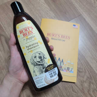 버츠비 케어플러스 하이드레이팅 퍼피 샴푸 — 4점을 준 리뷰어가 2020년 9월 올린 사용 사진
