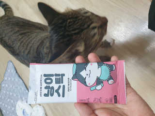 BoRaJin님이 올린 리뷰 사진 1