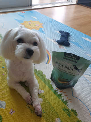 삐랭이님이 올린 리뷰 사진 1