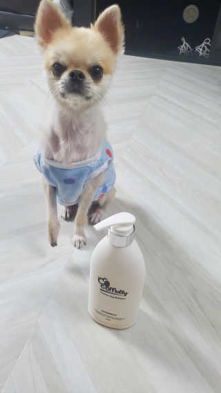 예민한 피부를 위한 코코몰리 All in one 자연유래 샴푸 — 5점을 준 리뷰어가 2020년 11월 올린 사용 사진