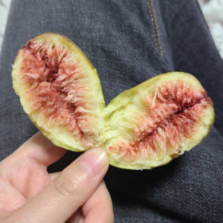 논지님이 올린 리뷰 사진 3