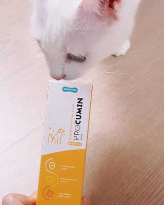 대박이님이 올린 리뷰 사진 1