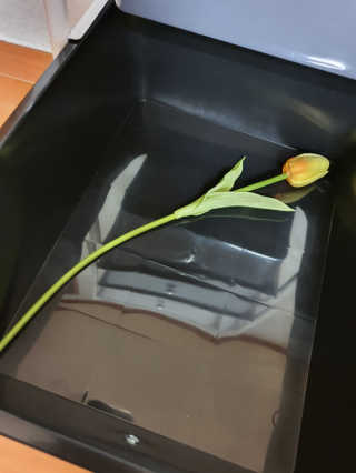 독대님이 올린 리뷰 사진 2