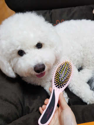 아이캔디 레인보우 볼륨S  브러쉬 for PET 미디엄 — 4점을 준 리뷰어가 2020년 11월 올린 사용 사진