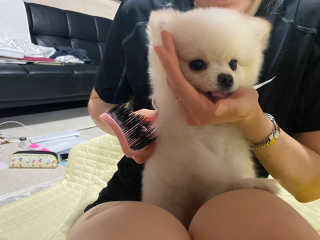 임혜빈님이 올린 리뷰 사진 2