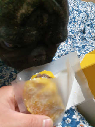 탱크돌콩님이 올린 리뷰 사진 1