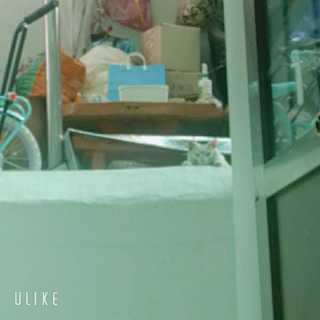🎀딸 ♥️랑 🔆구🍭님이 올린 리뷰 사진 4