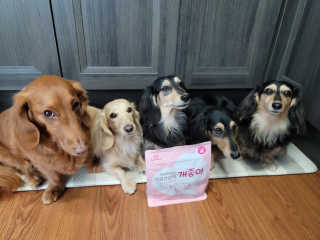 My Pet Care 천연단백질 관절건강에 개좋아 — 5점을 준 리뷰어가 2020년 11월 올린 사용 사진