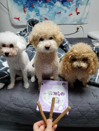 My Pet Care 천연단백질 치아건강에 개좋아 — 5점을 준 리뷰어가 2020년 11월 올린 사용 사진