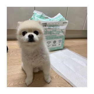 mamicaron님이 올린 리뷰 사진 2