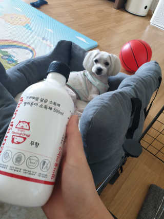 삐랭이님이 올린 리뷰 사진 1
