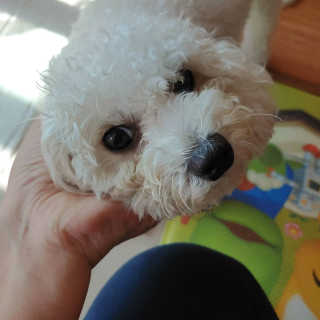 햇님달님님이 올린 리뷰 사진 4