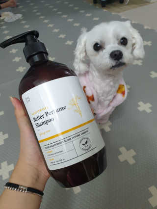 달리프 베러 퍼퓸 샴푸 1000ml 레이니데이 or 일랑로즈 — 5점을 준 리뷰어가 2020년 11월 올린 사용 사진