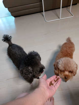 몽이님이 올린 리뷰 사진 4