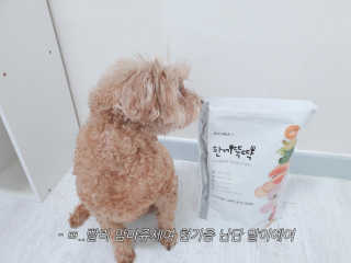 라움이님이 올린 리뷰 사진 2